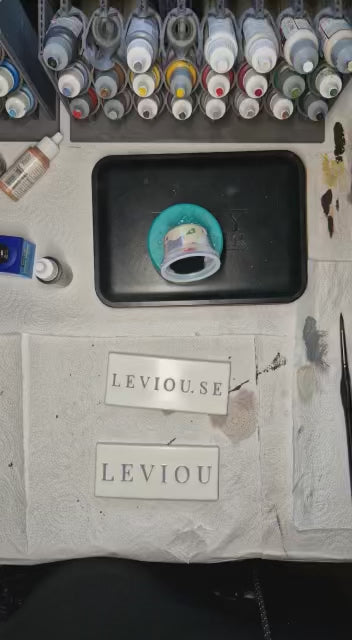 Customized Logotype for Leviou Magnetic Display